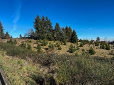Listing Image #3 - Land for sale at 1684 Doaks Ferry Road, Salem OR 97304