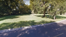 Land for sale in Alachua, FL