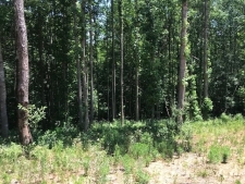 Land property for sale in Adams, TN