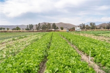Land for sale in WINCHESTER, CA