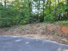 Land for sale in Walnut Cove, NC