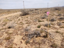 Land for sale in CALIFORNIA CITY, CA