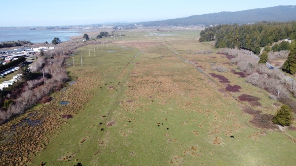 Listing Image #2 - Land for sale at 4050 US 101, Arcata CA 95521