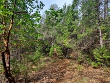 Listing Image #2 - Land for sale at 7875 Reed Lane, Rackerby CA 95972