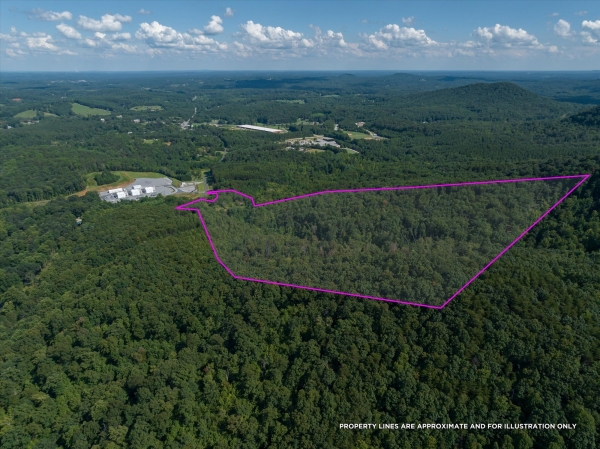 Listing Image #2 - Land for sale at 823 Silver Creek Road, Mill Spring NC 28756