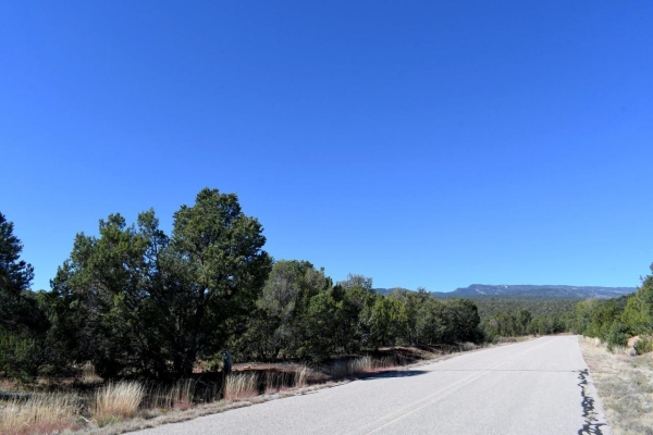 Listing Image #2 - Others for sale at 4 Anasazi Court, Sandia Park NM 87047