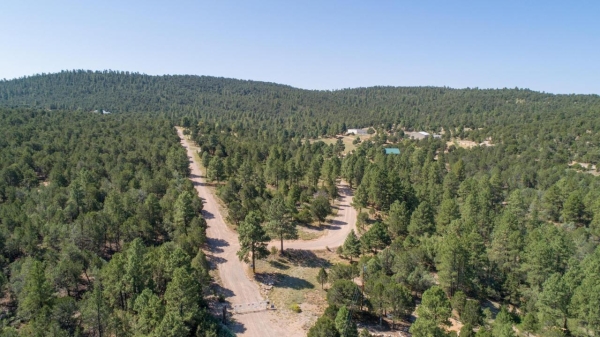 Listing Image #2 - Others for sale at 8 Fisher Ct W, Tijeras NM 87059