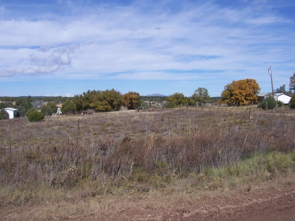 Listing Image #3 - Others for sale at 20 Lakes Place, Tijeras NM 87059