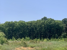 Listing Image #3 - Land for sale at 5326 Zachary Taylor Highway Tax ID: 16-59, Mineral VA 23117