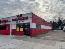 Listing Image #1 - Others for sale at 16645 W Warren Ave Avenue, Detroit MI 48228