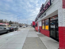 Listing Image #2 - Others for sale at 16645 W Warren Ave Avenue, Detroit MI 48228