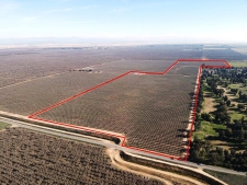Listing Image #2 - Land for sale at Road 26, Madera CA 93638
