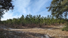 Listing Image #1 - Land for sale at 104.7 ac Off Dixie (ne 30th St) Highway, High Springs FL 32643