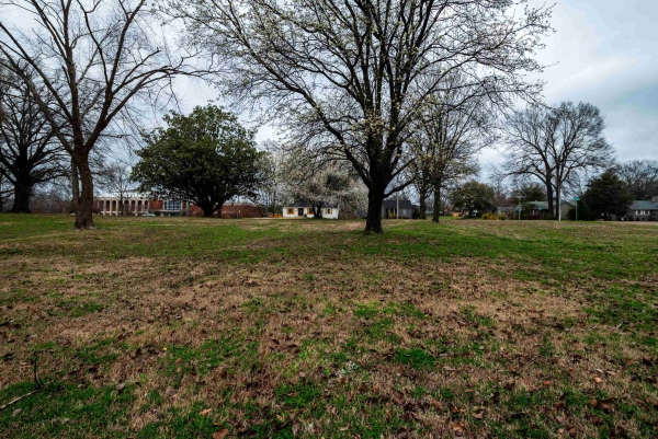 Listing Image #3 - Land for sale at 2415 UNION AVE/LOT 18, MEMPHIS TN 38112