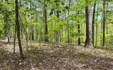 Listing Image #1 - Land for sale at LT 27 Mountain Crk Hollow, Talking Rock GA 30175