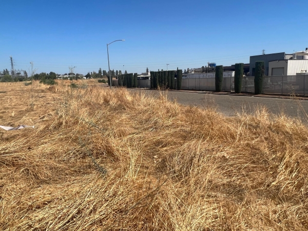 Listing Image #2 - Land for sale at W Florence Avenue, Fresno CA 93706