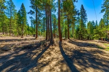 Listing Image #2 - Others for sale at 1.35 River Street, Wawona CA 95389