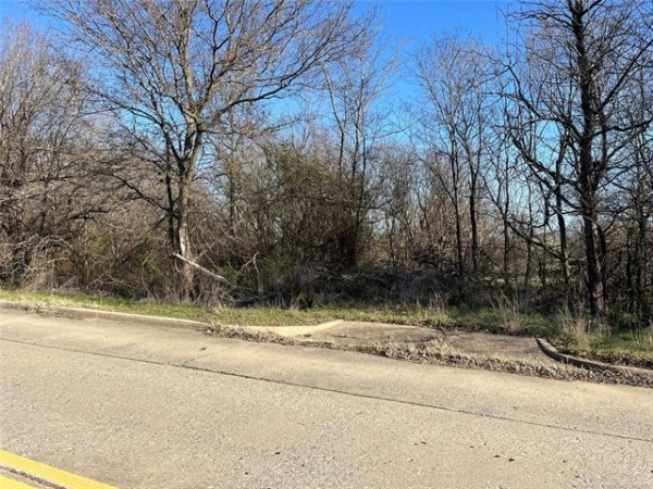 Listing Image #1 - Land for sale at E Adams Avenue, McAlester OK 74501