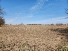 Others property for sale in Carlock, IL