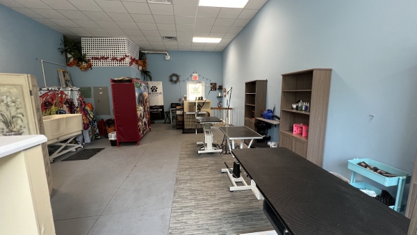 Listing Image #5 - Business for sale at 5500 Main Street, unit 112, New Port Richey FL 34652