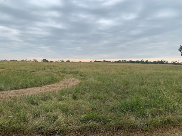 Listing Image #3 - Others for sale at 000 Highway 6, Hempstead TX 77445