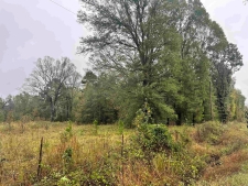 Listing Image #1 - Land for sale at TBD Grant County 4, Leola AR 72084
