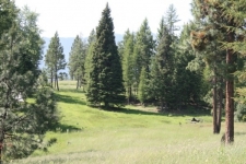 Listing Image #3 - Land for sale at 12763 Bulger Flat Lane, Haines OR 97833
