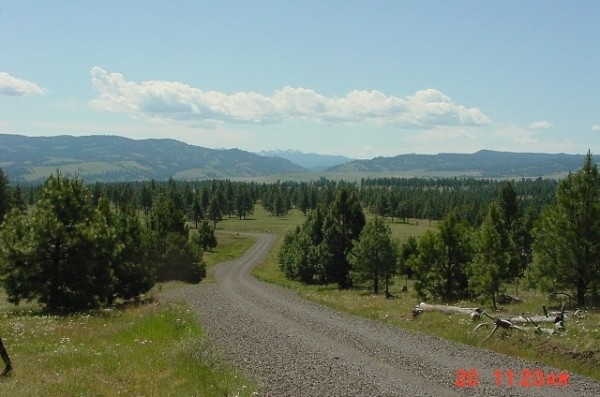 Listing Image #1 - Ranch for sale at 59161 McIntyre Road, La Grande OR 97850 Listing Image #1 - Ranch for sale at 59161 McIntyre Road, La Grande OR 97850