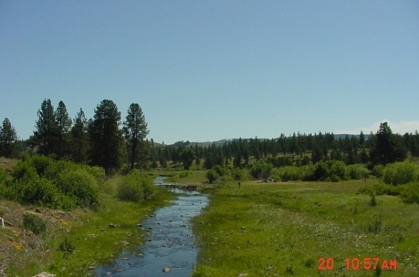 Listing Image #2 - Ranch for sale at 59161 McIntyre Road, La Grande OR 97850 Listing Image #2 - Ranch for sale at 59161 McIntyre Road, La Grande OR 97850