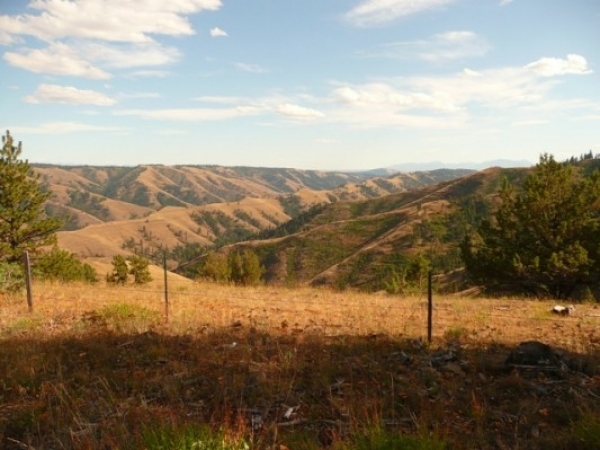 Listing Image #3 - Ranch for sale at Chief Joseph Canyon Ranch, Baker City OR 97814