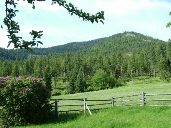 Listing Image #1 - Ranch for sale at 13594 Willow Creek Lane, Haines OR 97833 Listing Image #1 - Ranch for sale at 13594 Willow Creek Lane, Haines OR 97833