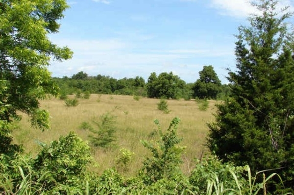 Listing Image #1 - Land for sale at Hwy 270, McAlester OK 74501 Listing Image #1 - Land for sale at Hwy 270, McAlester OK 74501