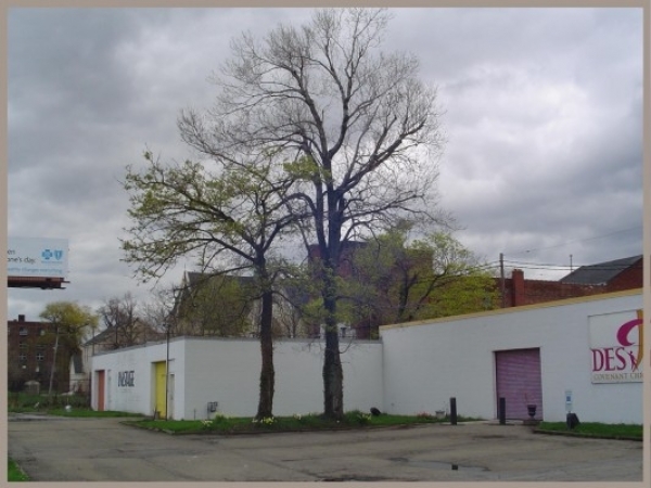 Listing Image #1 - Industrial for sale at 330 Genesee Street, Buffalo NY 14201