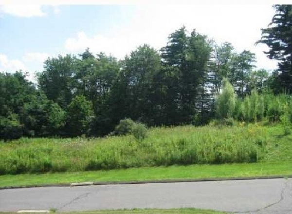 Listing Image #1 - Land for sale at 127 New Hartford Rd, Barkhamsted CT 06063 Listing Image #1 - Land for sale at 127 New Hartford Rd, Barkhamsted CT 06063