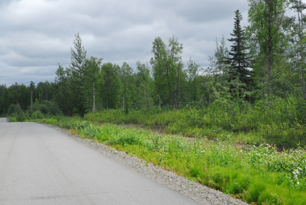 Listing Image #1 - Land for sale at 26238 W Shirley Lake Dr., Willow, Alaska, Willow AK 99688