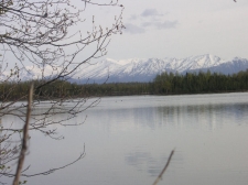 Listing Image #1 - Land for sale at 3650 W Parks Highway, Wasilla AK 99654