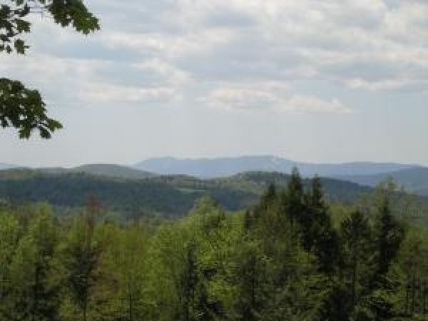 Listing Image #1 - Land for sale at Lot 5 Stage Coach Lane, Waterbury VT 05677 Listing Image #1 - Land for sale at Lot 5 Stage Coach Lane, Waterbury VT 05677