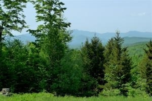 Listing Image #1 - Land for sale at Lot 1 Ring Road, Waterbury VT 05677 Listing Image #1 - Land for sale at Lot 1 Ring Road, Waterbury VT 05677