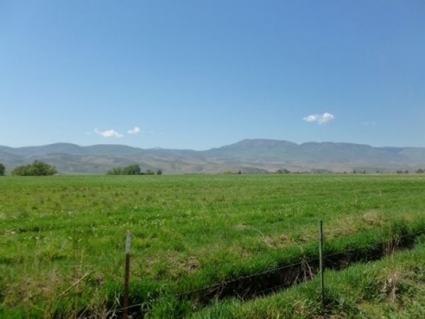 Listing Image #3 - Ranch for sale at 41997 Holcomb Road, Richland OR 97870
