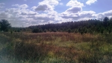 Listing Image #1 - Land for sale at US Business 1 &amp; Cole Ln, Kittrell NC 27544