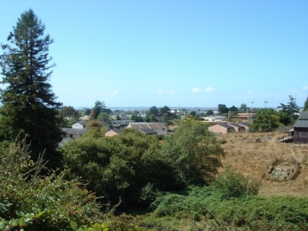 Listing Image #1 - Land for sale at Center Street, Arcata CA 95521