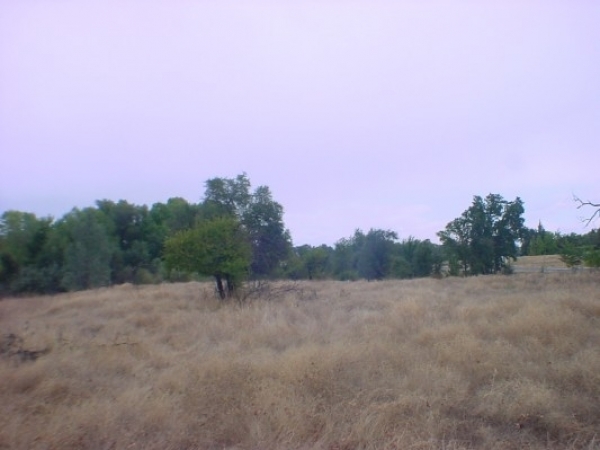 Listing Image #1 - Land for sale at 1355 Collyer Road, Redding CA 96003