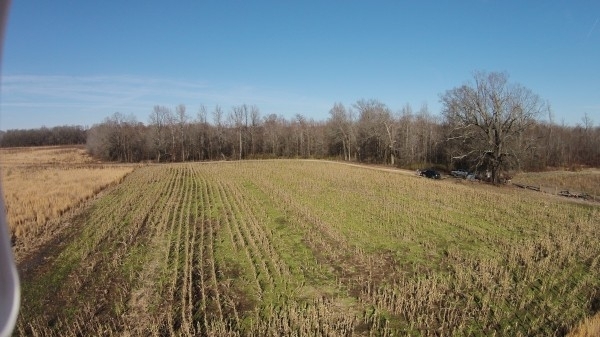 Listing Image #3 - Farm for sale at James Anderson Road, Stanton TN 38069