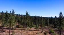Listing Image #3 - Forest for sale at Elk Creek Lane, Baker City OR 97814