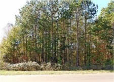 Listing Image #1 - Land for sale at 24387 A County Road 244, Overton TX 75684