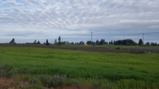 Listing Image #1 - Land for sale at 11515 West Medical Lake Road, Cheney WA 99004