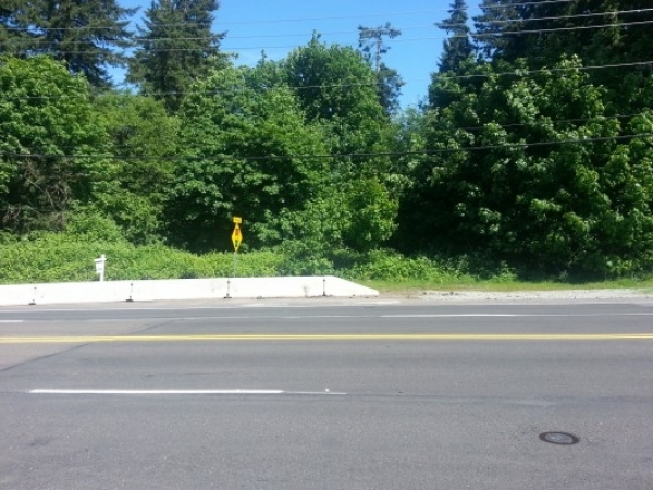 Listing Image #1 - Land for sale at 11313 NE Highway 99, Vancouver WA 98685