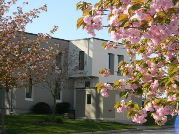 Listing Image #1 - Office for lease at 63 Sockanosset Cross Road, Cranston RI 02920