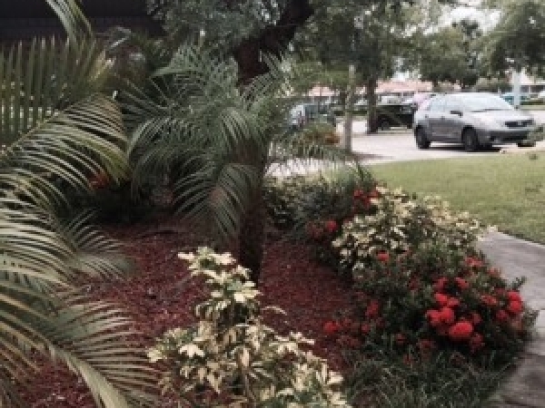 Listing Image #3 - Office for lease at 2929 Lakeland Highlands Rd, Lakeland FL 33803 Listing Image #3 - Office for lease at 2929 Lakeland Highlands Rd, Lakeland FL 33803