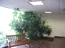Listing Image #1 - Office for lease at 220 Centennial Avenue, Piscataway NJ 08854